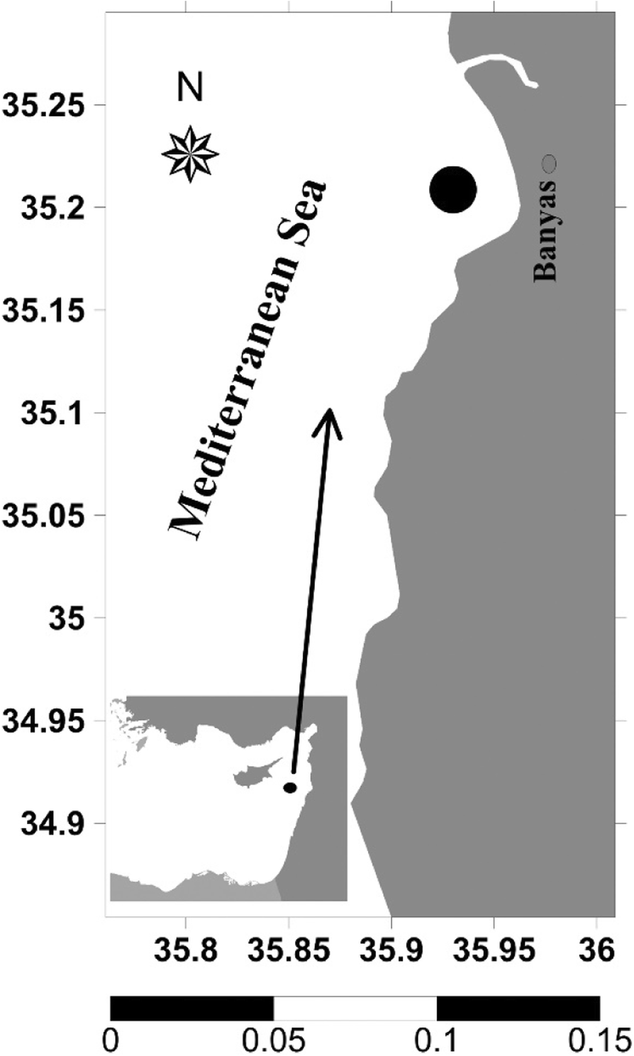 Fig. 1