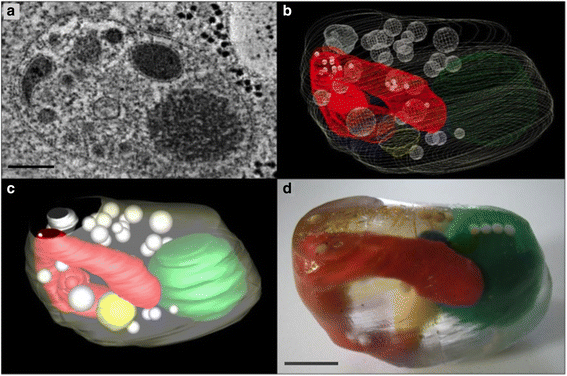 Fig. 4