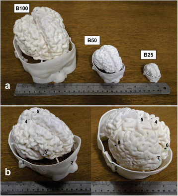 Fig. 5