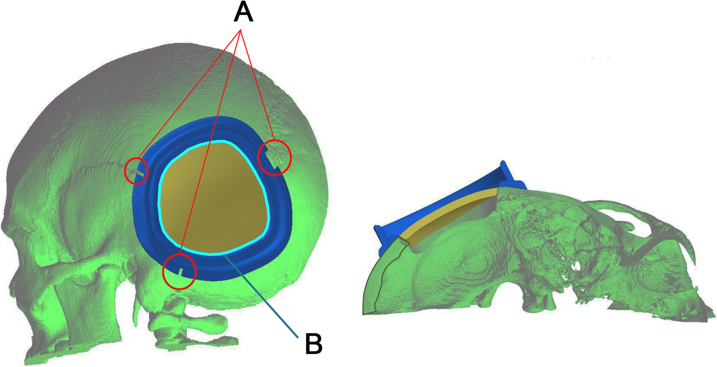 Fig. 5