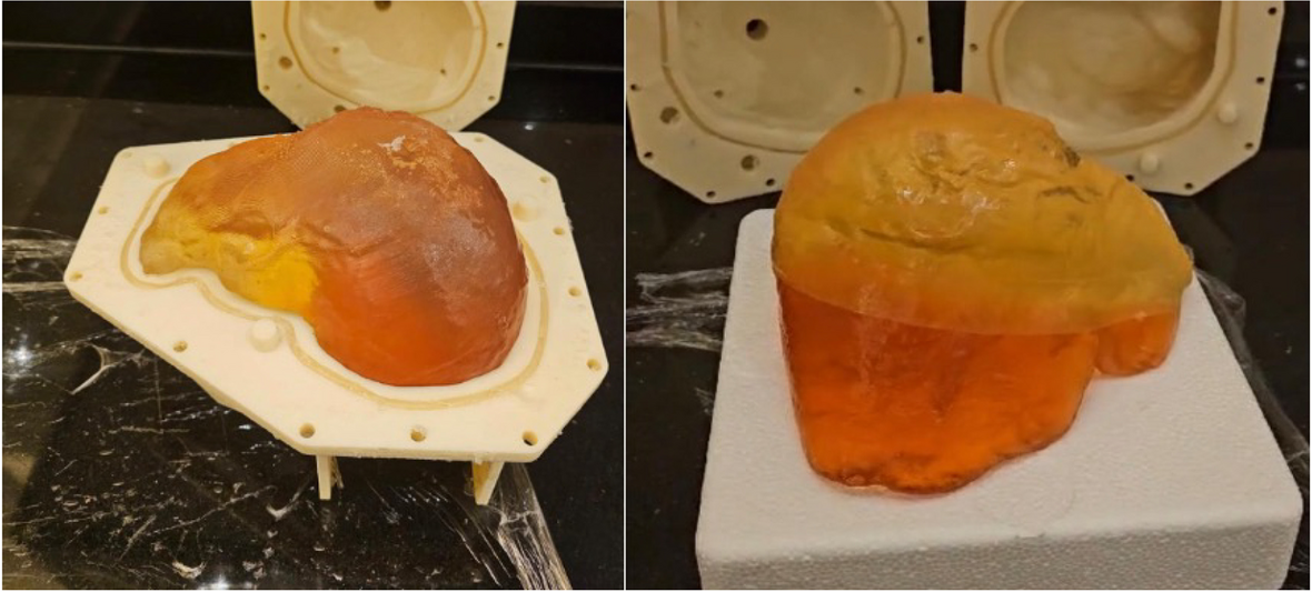 Fig. 10