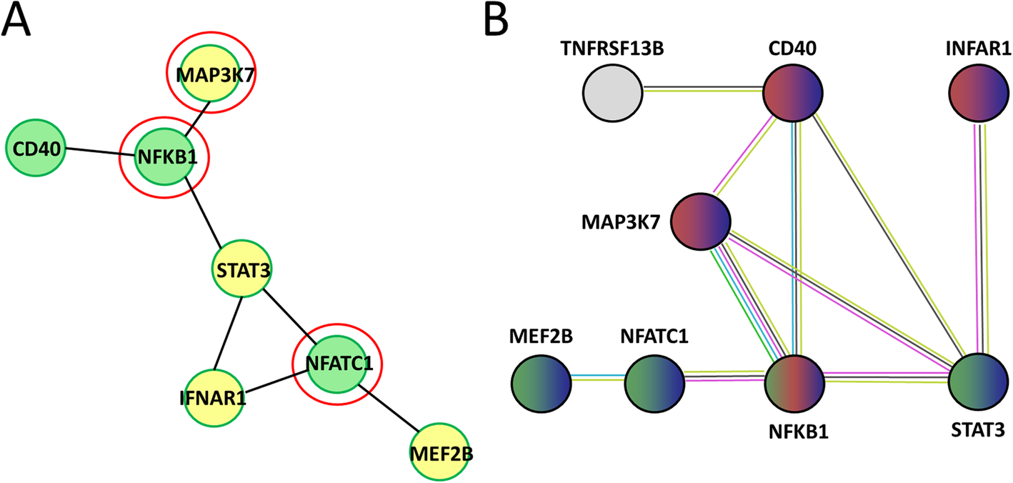 Fig. 7