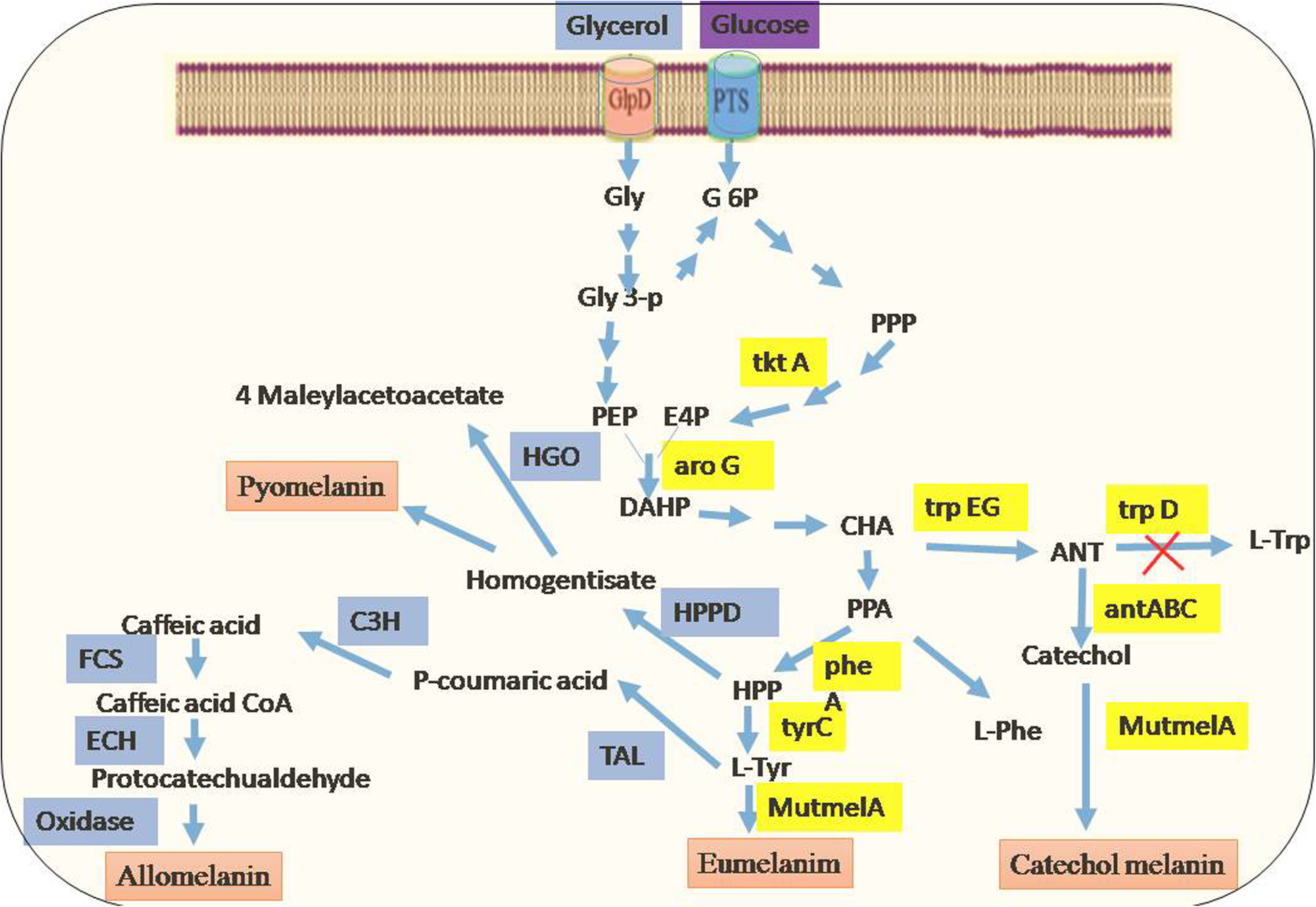 Fig. 6