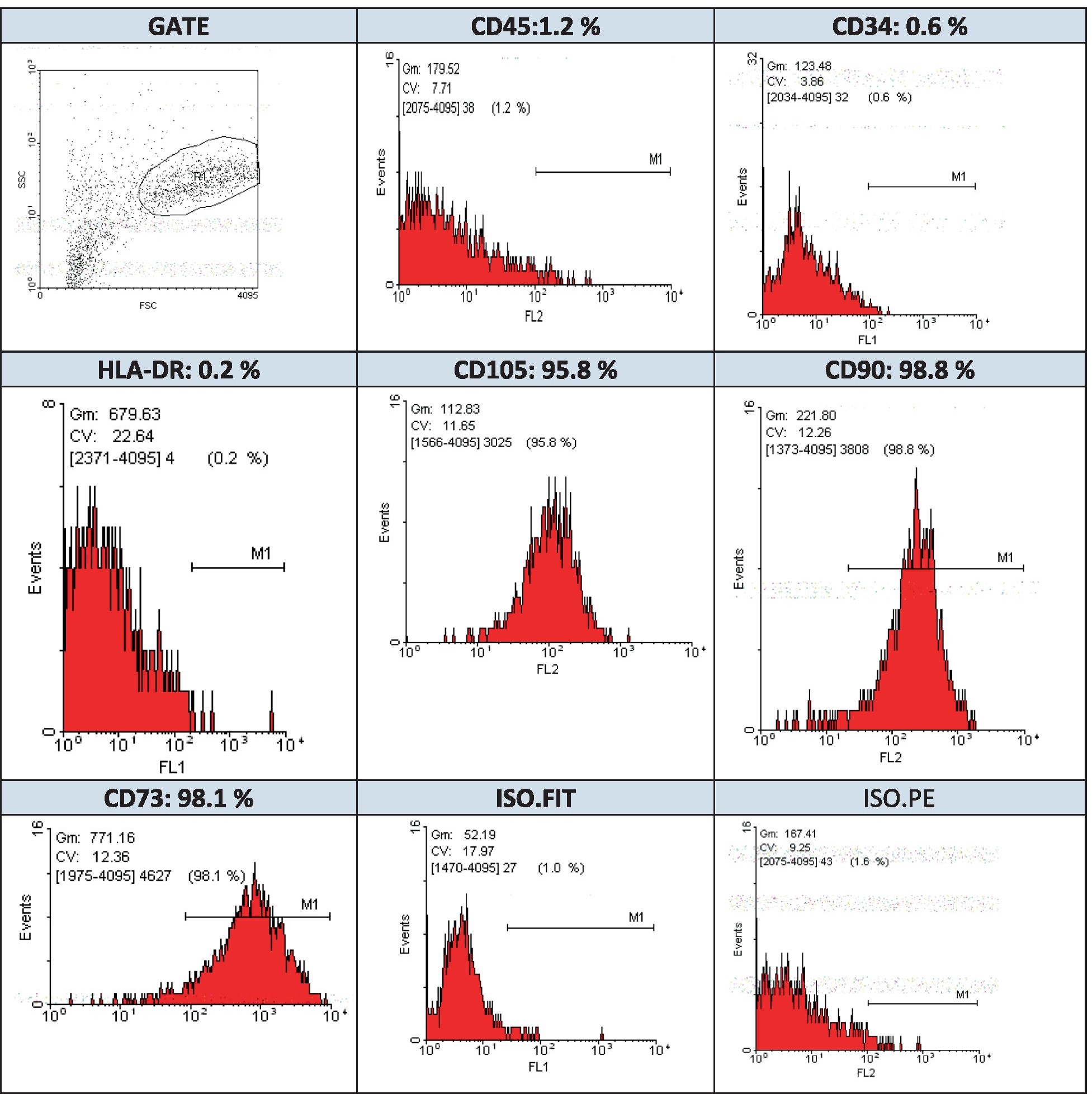 Fig. 10