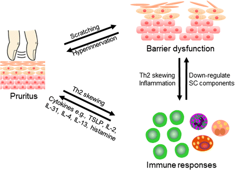 Fig. 3