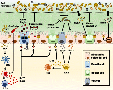 Fig. 2