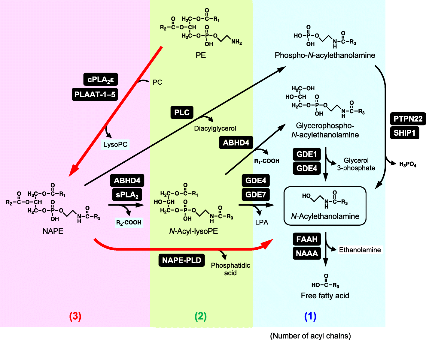 Fig. 3