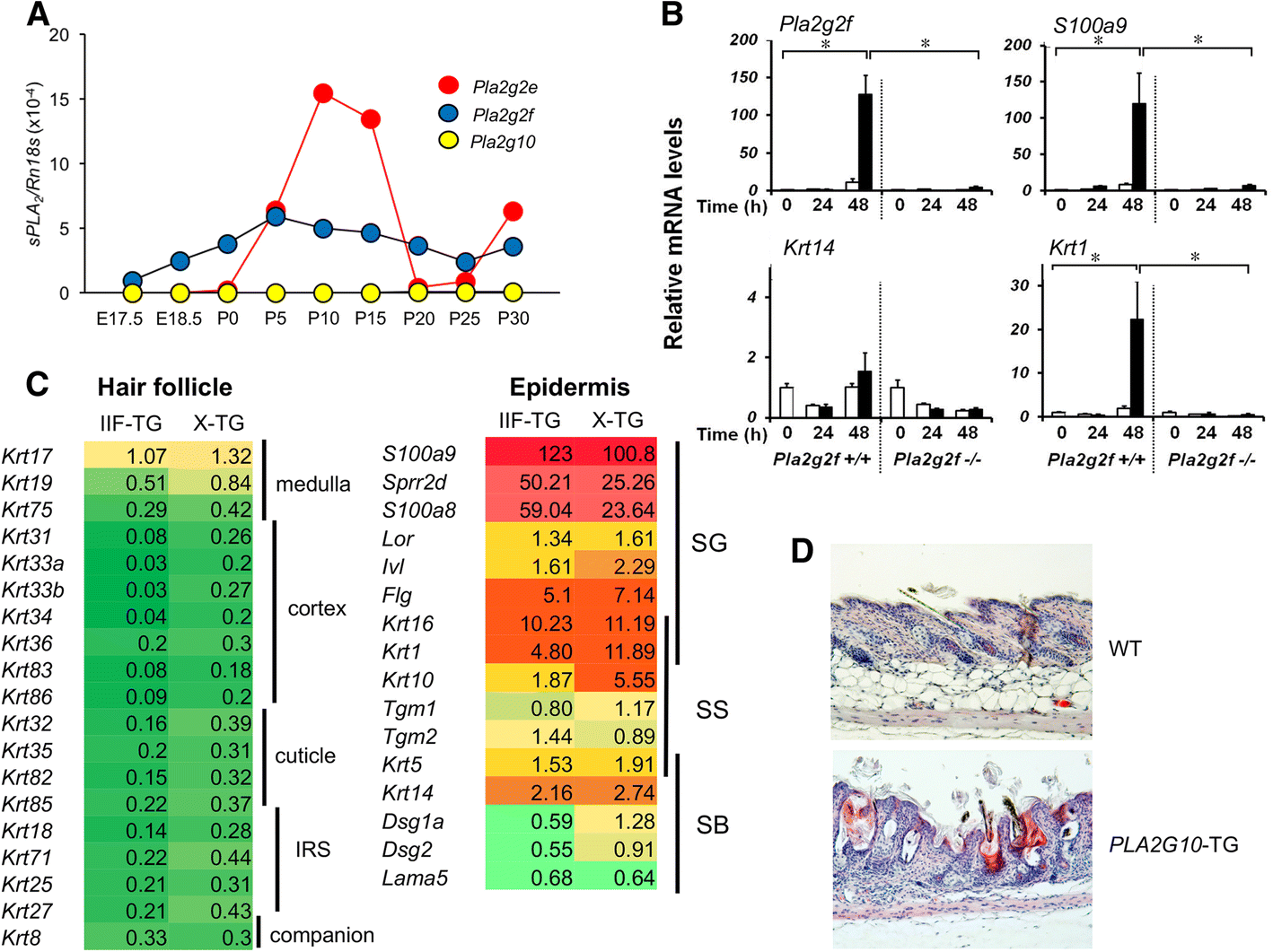 Fig. 2