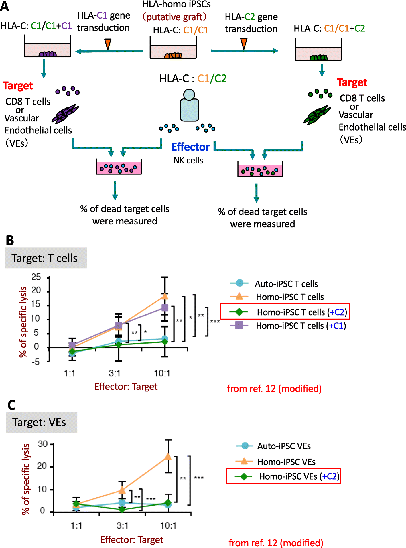 Fig. 4