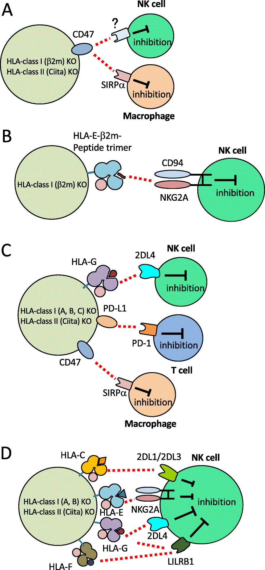 Fig. 5