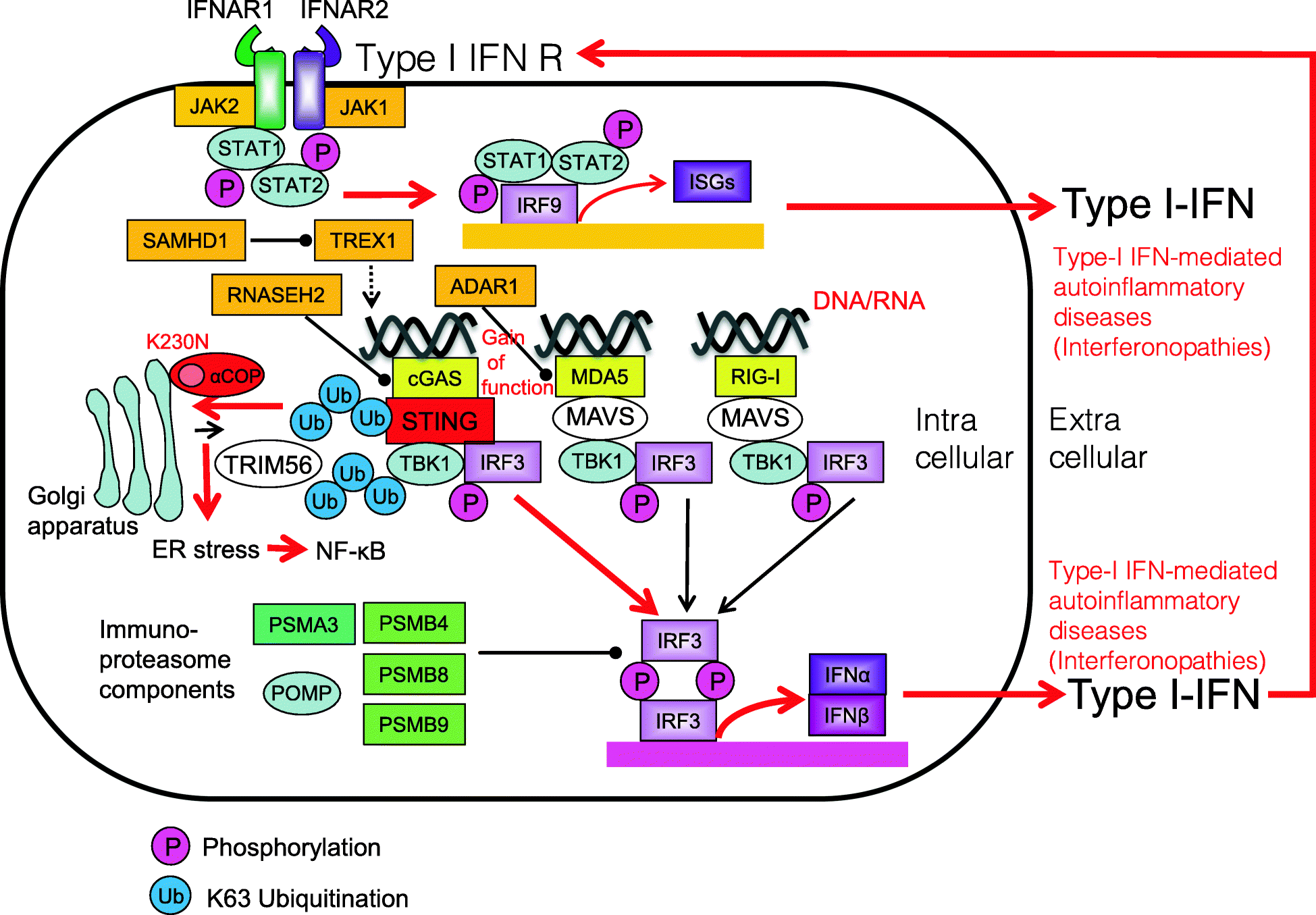 Fig. 16