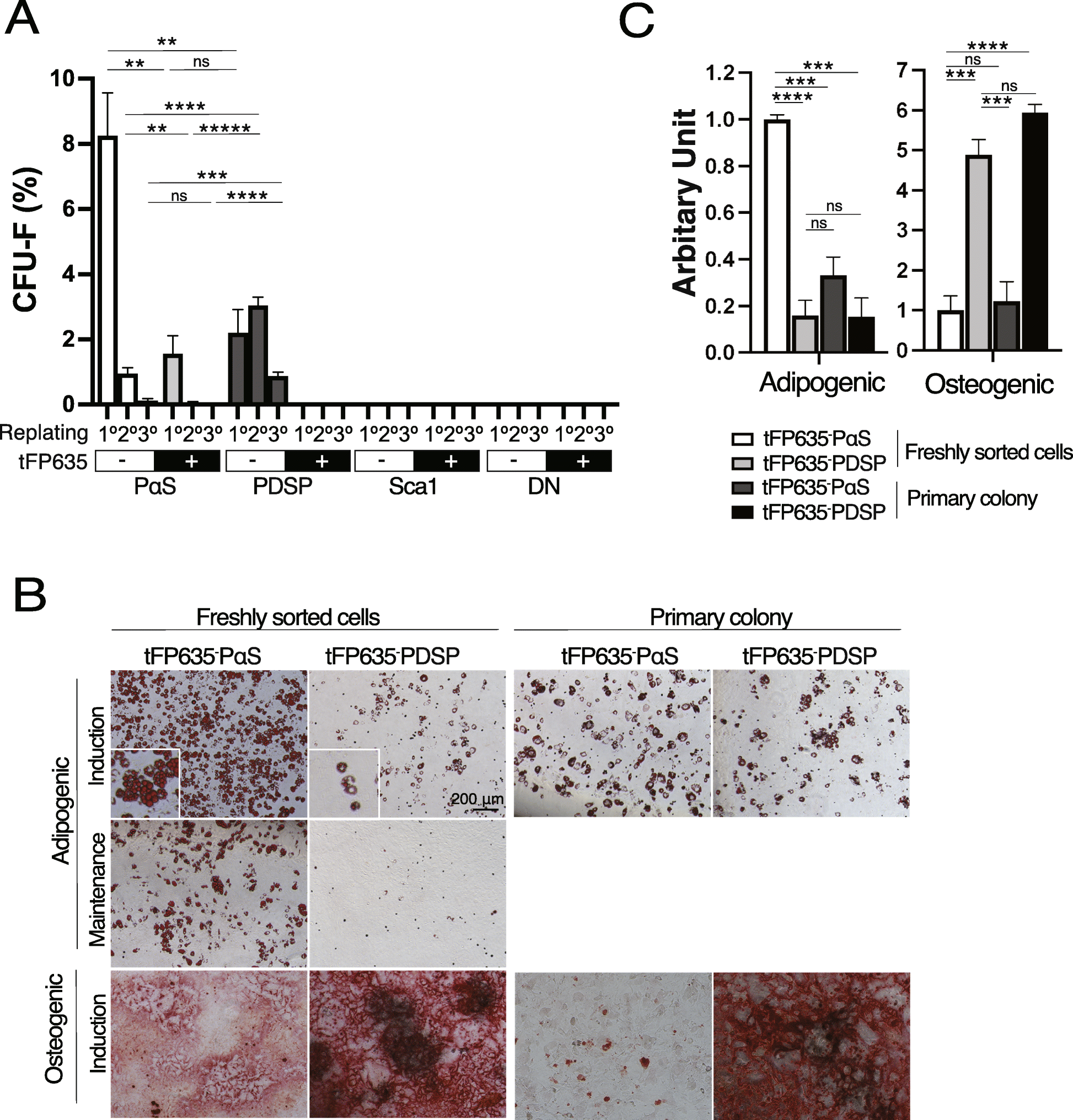 Fig. 5