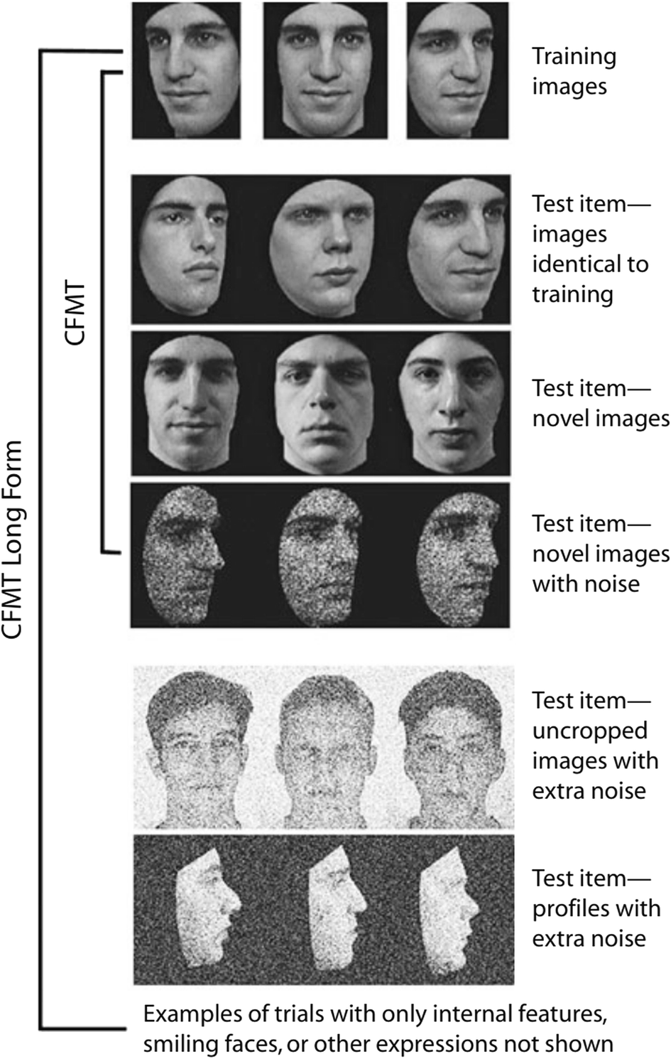 Individual differences in the detection, matching and memory of faces |  Cognitive Research: Principles and Implications | Full Text