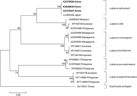 Fig. 2