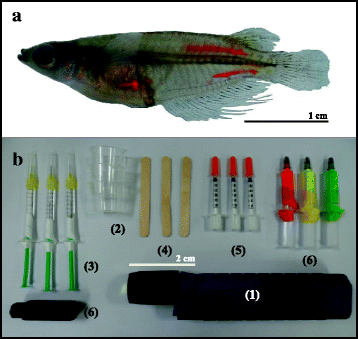 Fig. 2