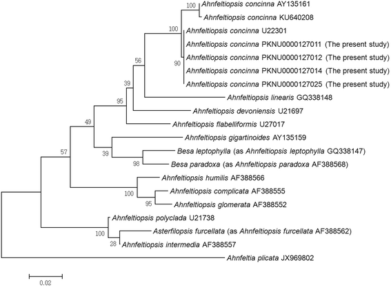 Fig. 4