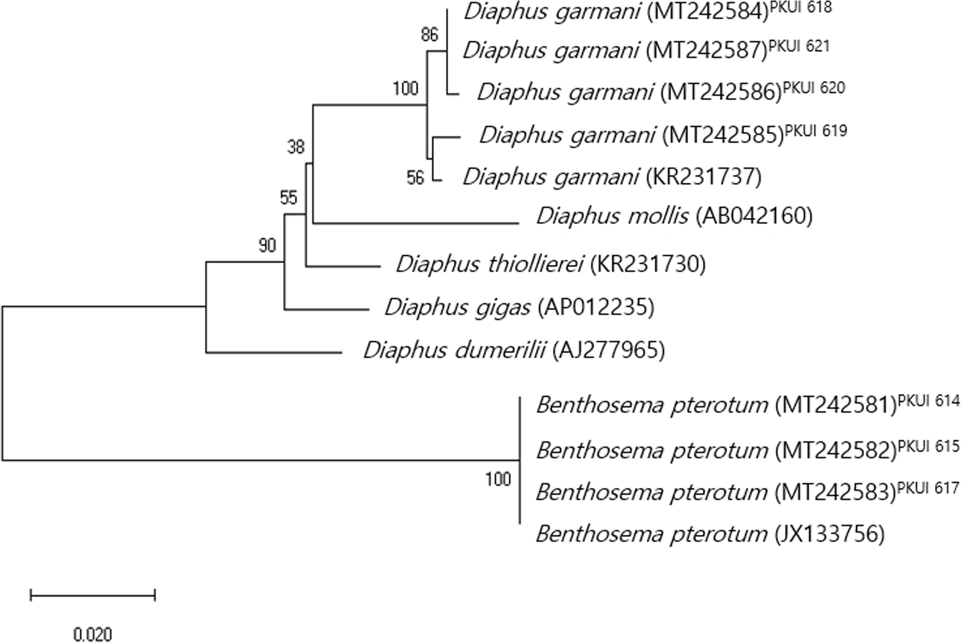 Fig. 3