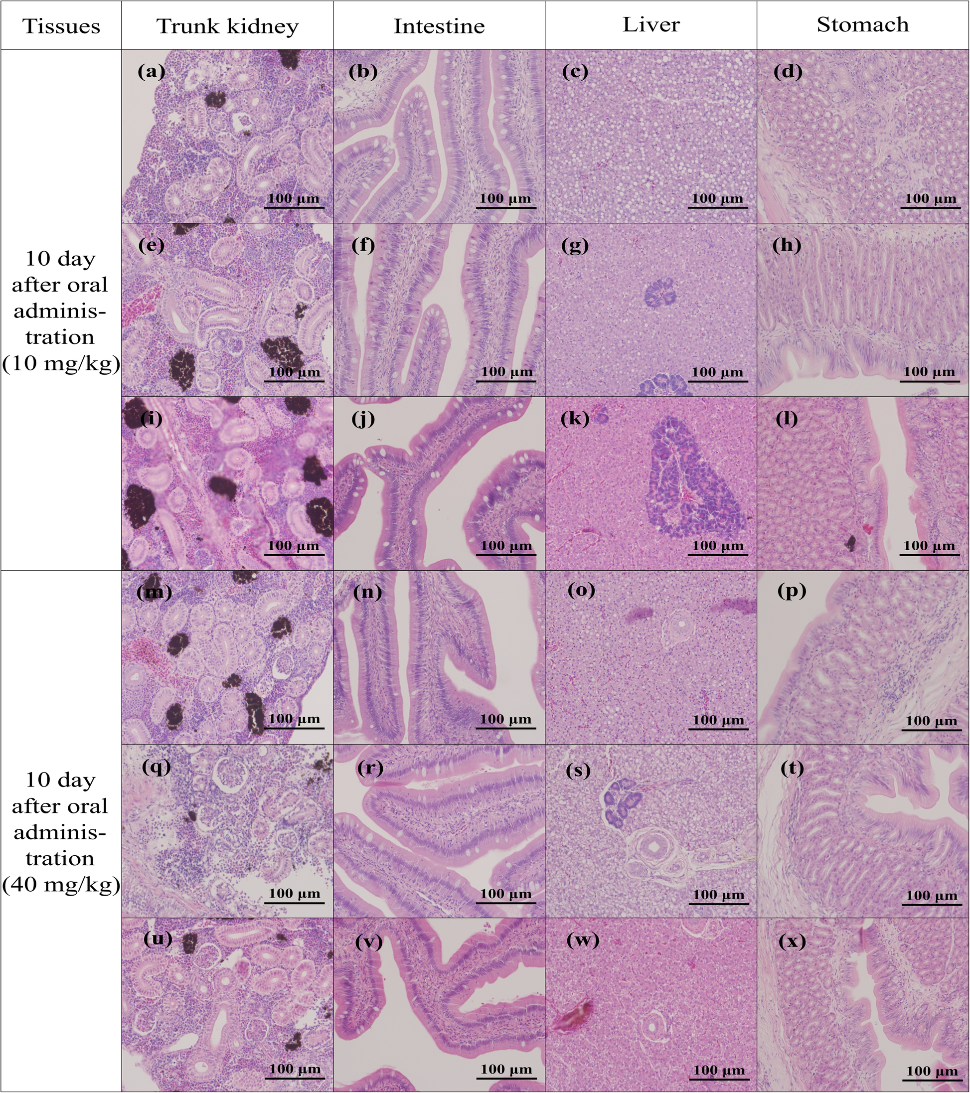 Fig. 14