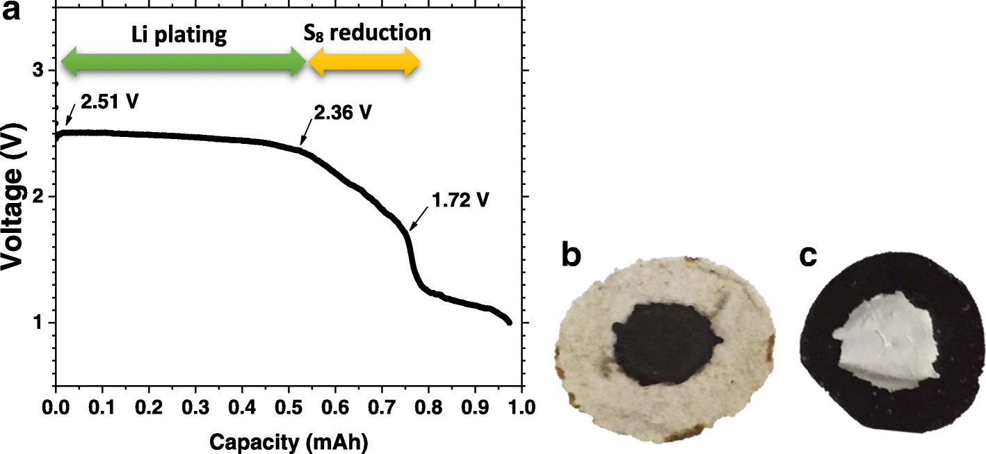 Fig. 8