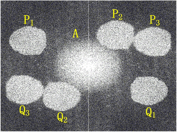 Fig. 3