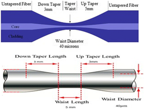 Fig. 1