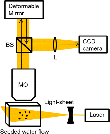 Fig. 3