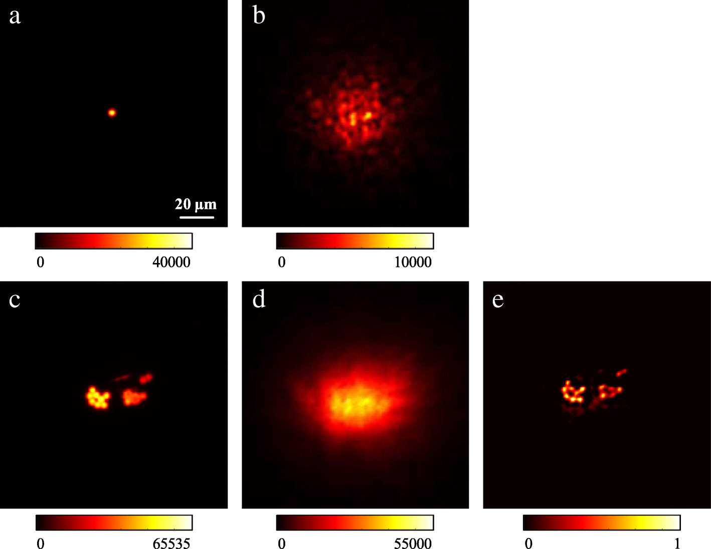 Fig. 2