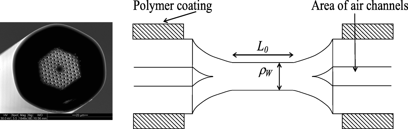 Fig. 1