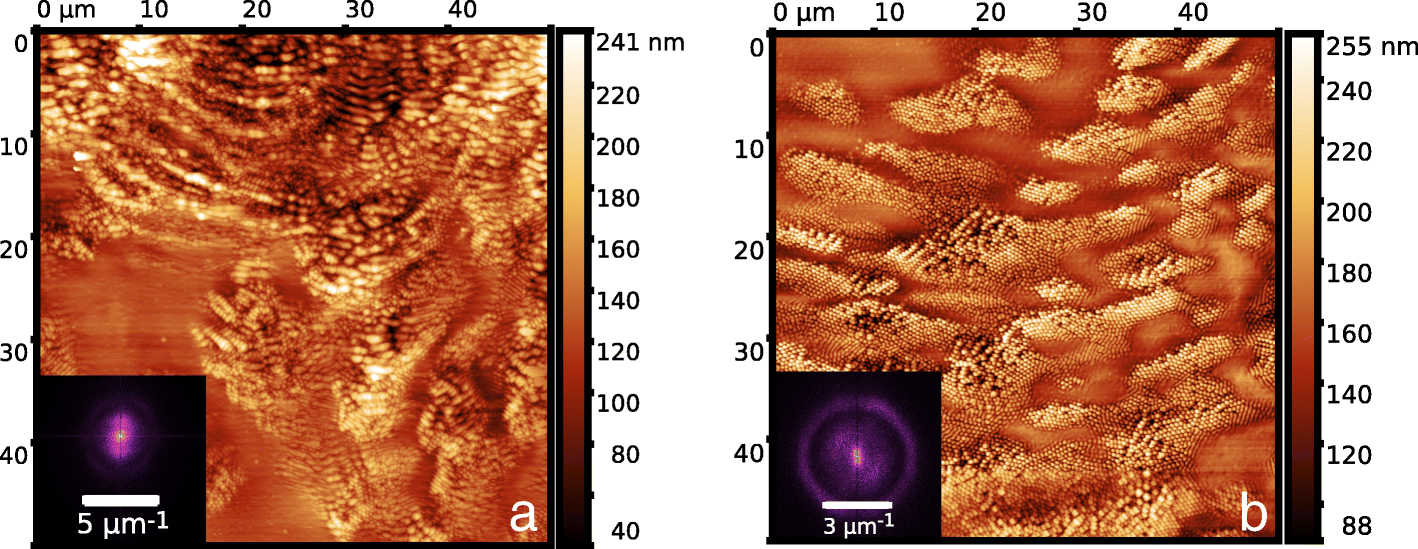 Fig. 8