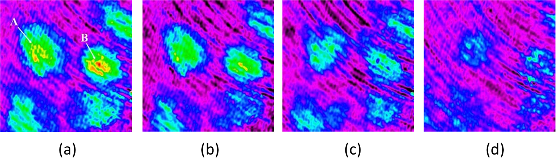 Fig. 15