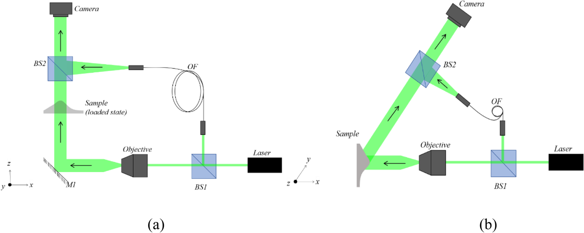 Fig. 1