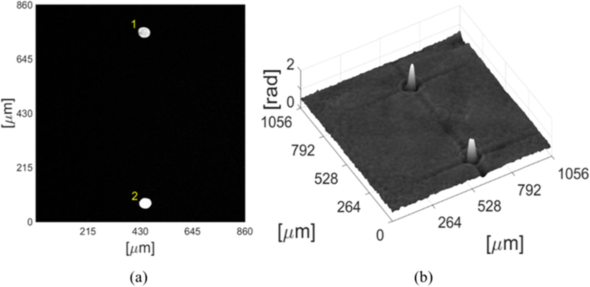 Fig. 25