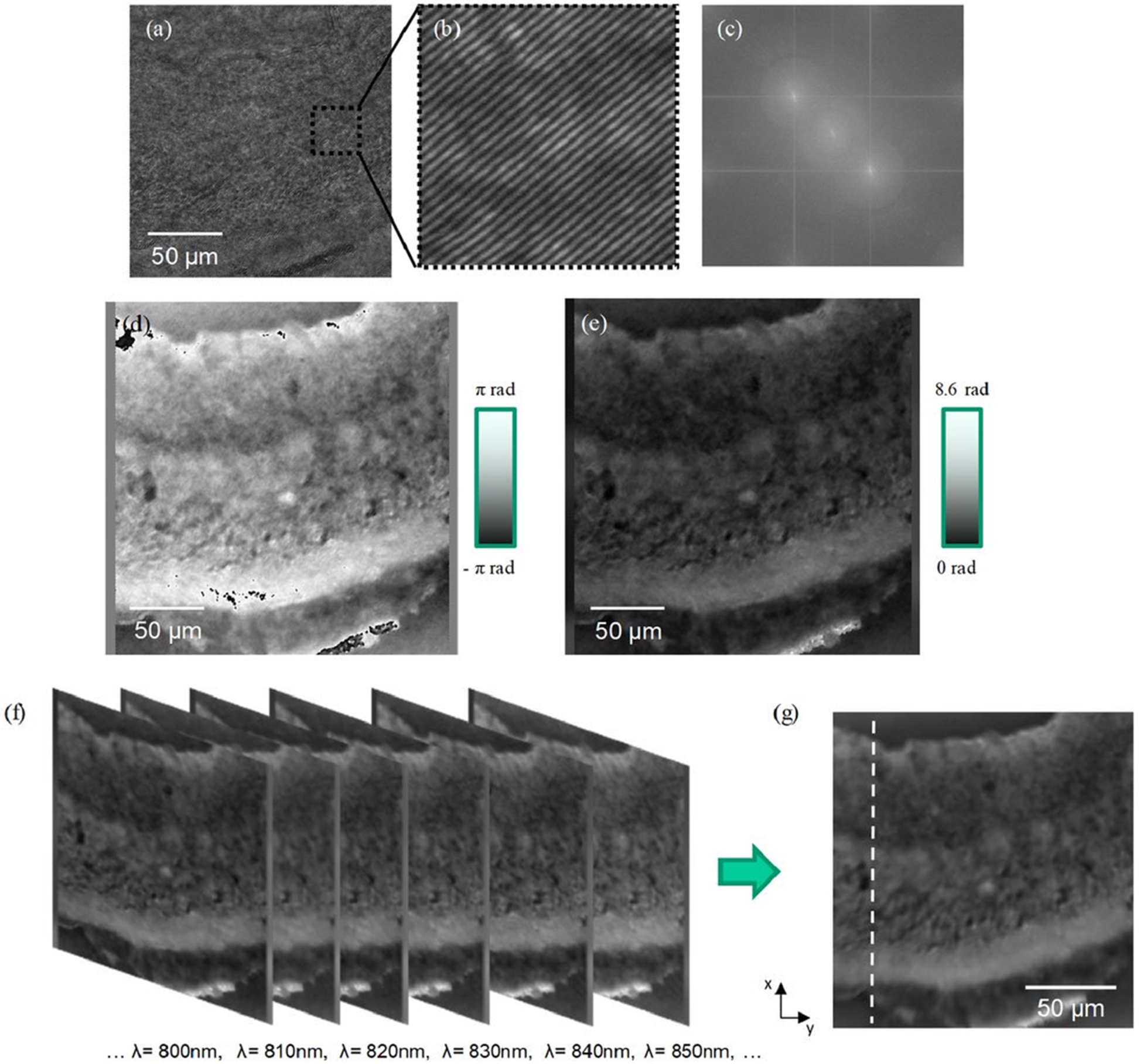 Fig. 29