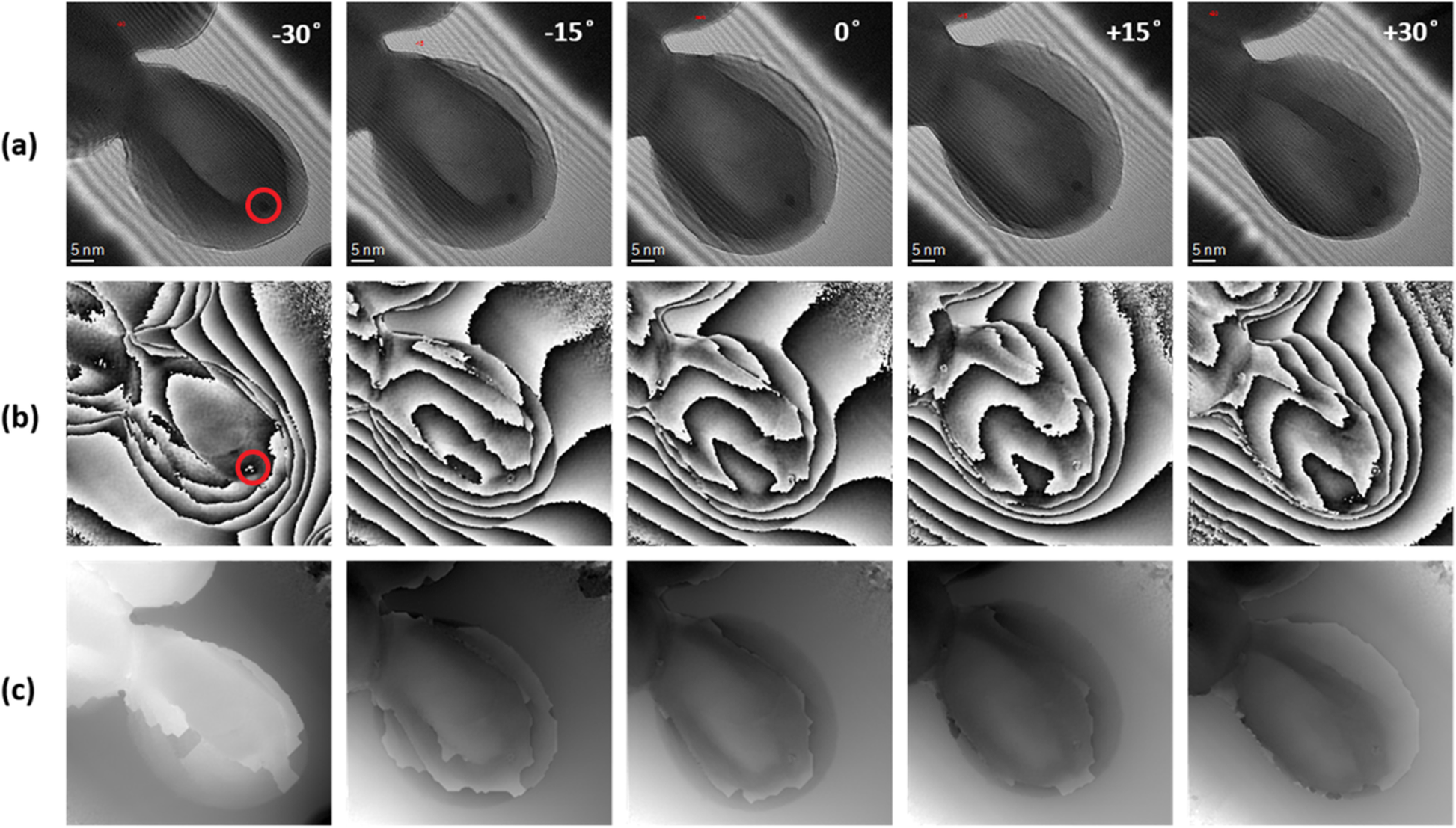 Fig. 34