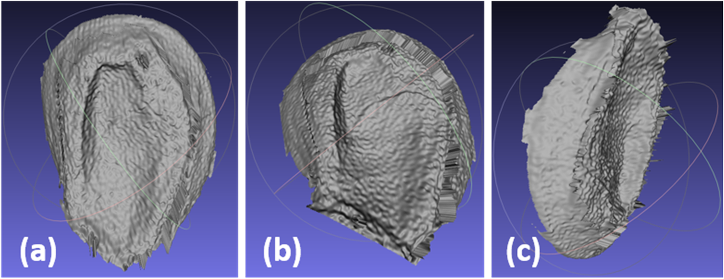 Fig. 35