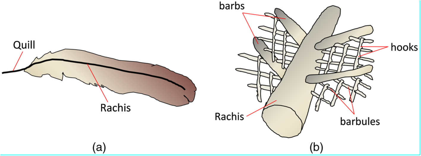 Fig. 5