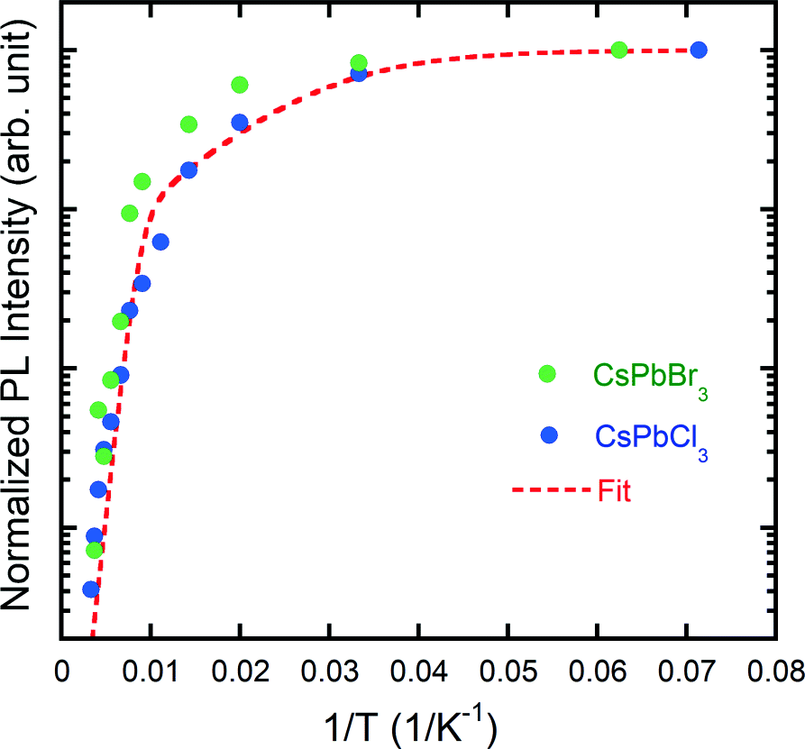 Fig. 5