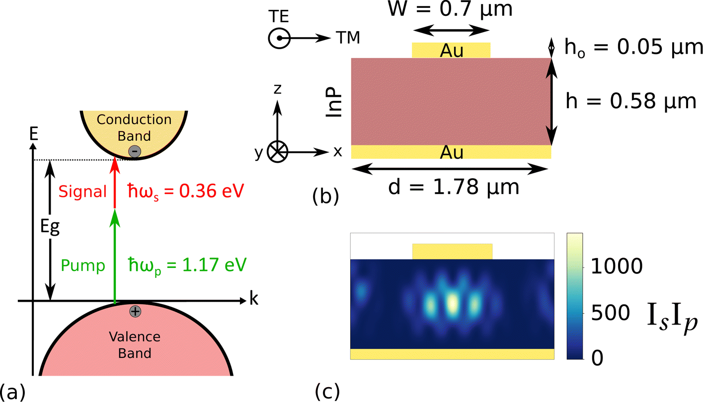 Fig. 1