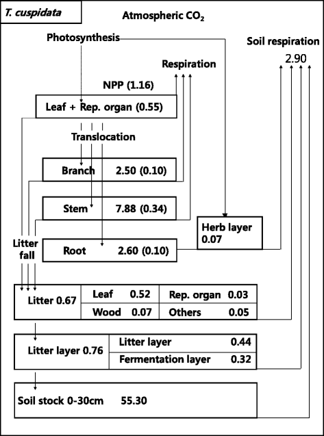 Fig. 8