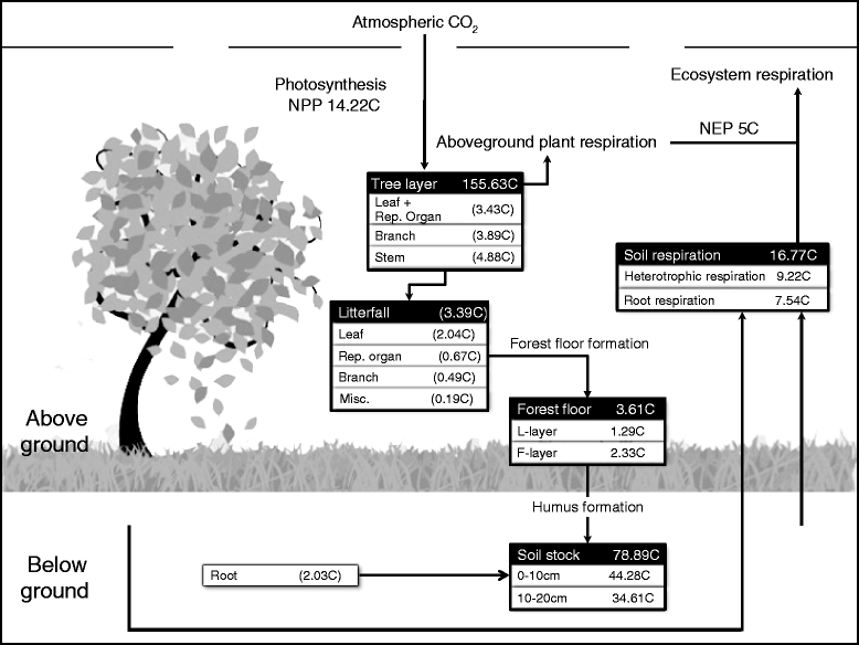 Fig. 4