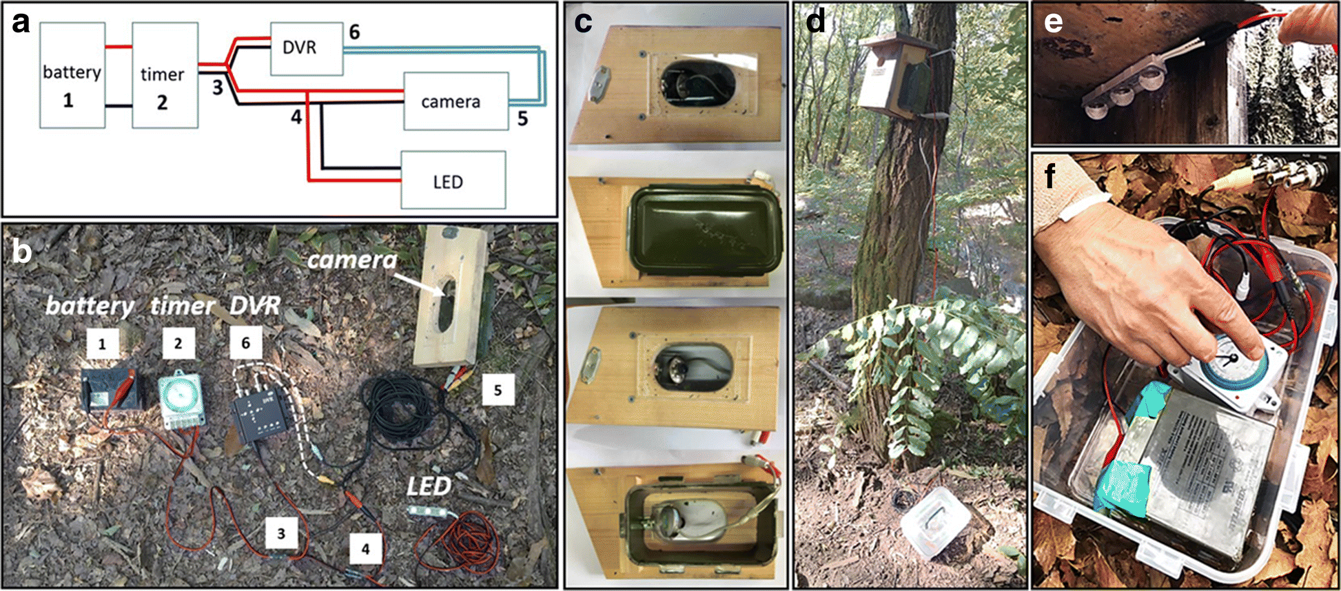 Fig. 1