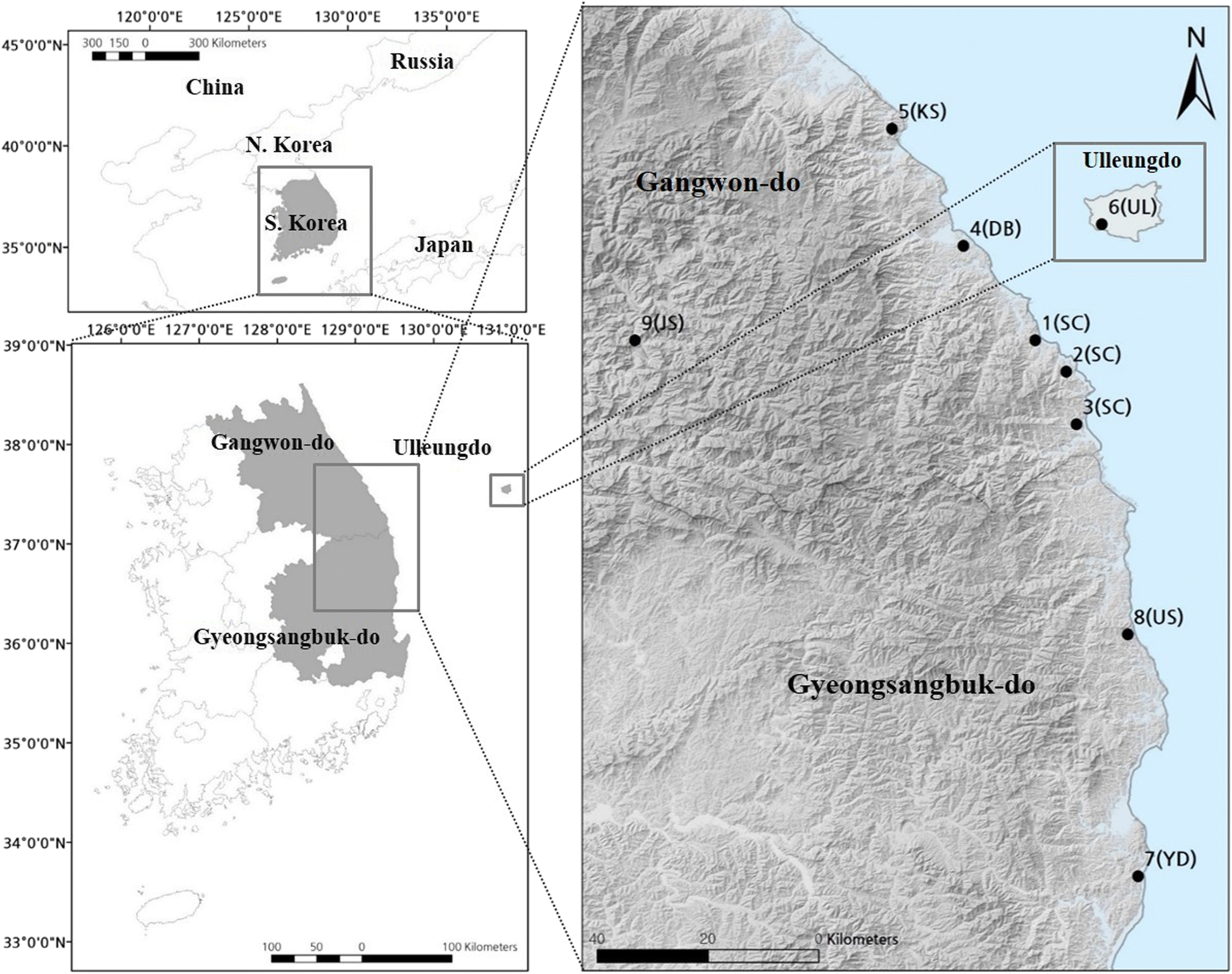 Fig. 1