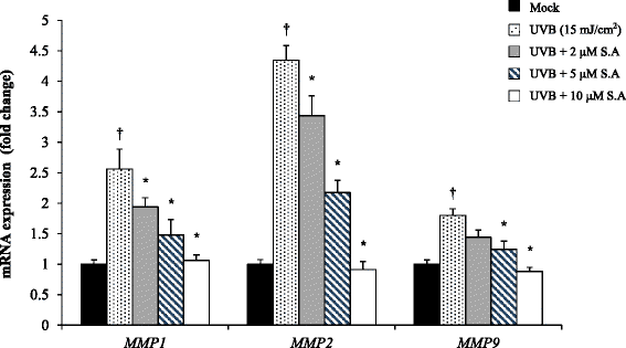 Fig. 9