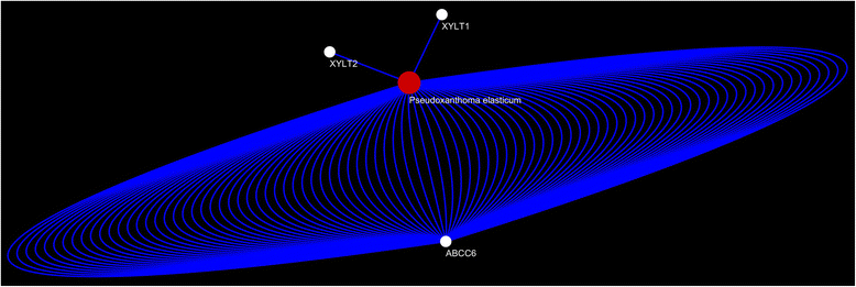 Fig. 7