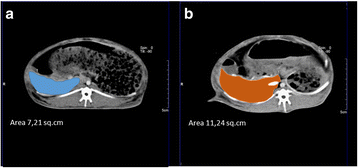 Fig. 5