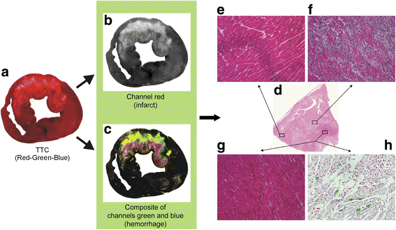 Fig. 3