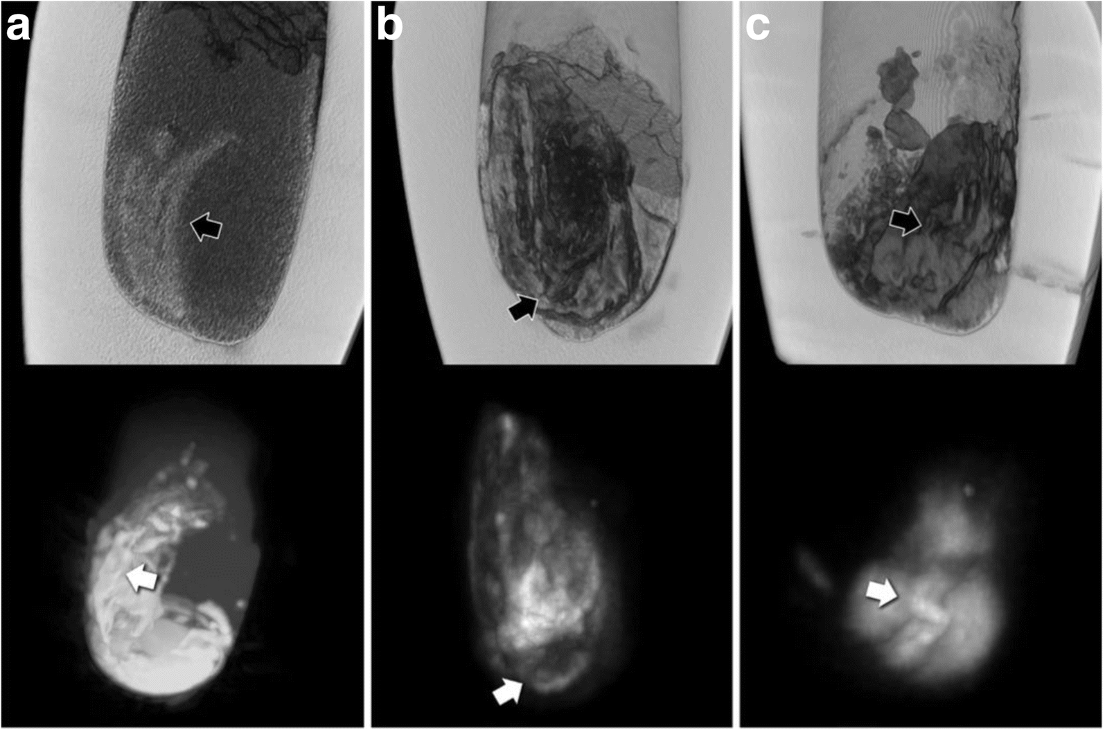 Fig. 5