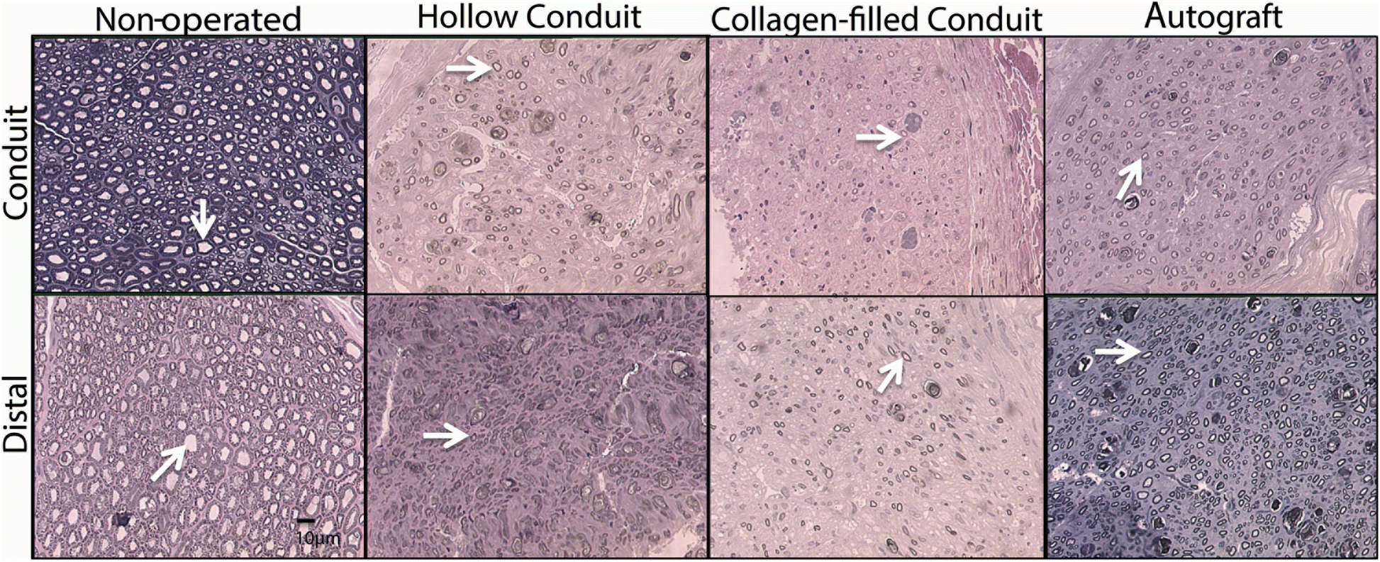 Fig. 5