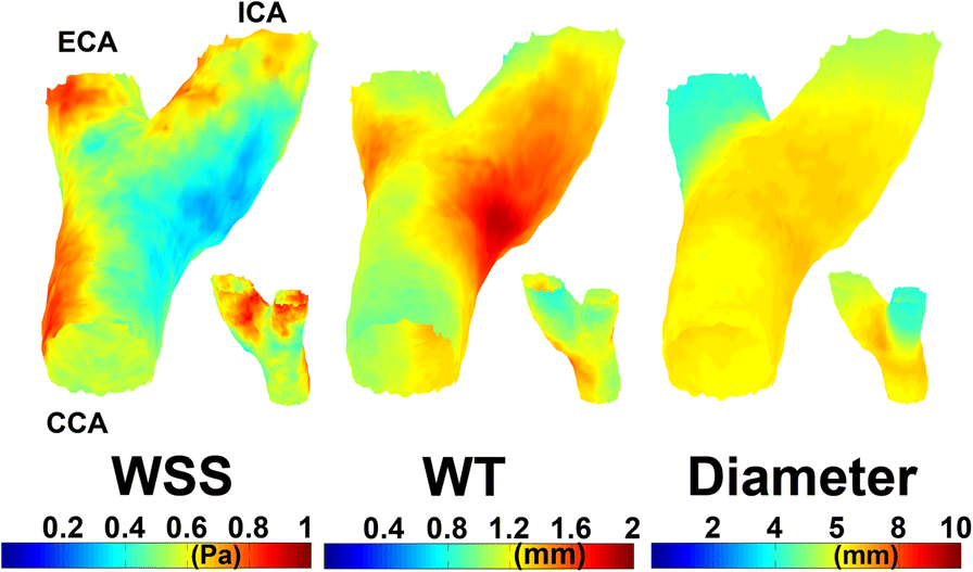 Fig. 3