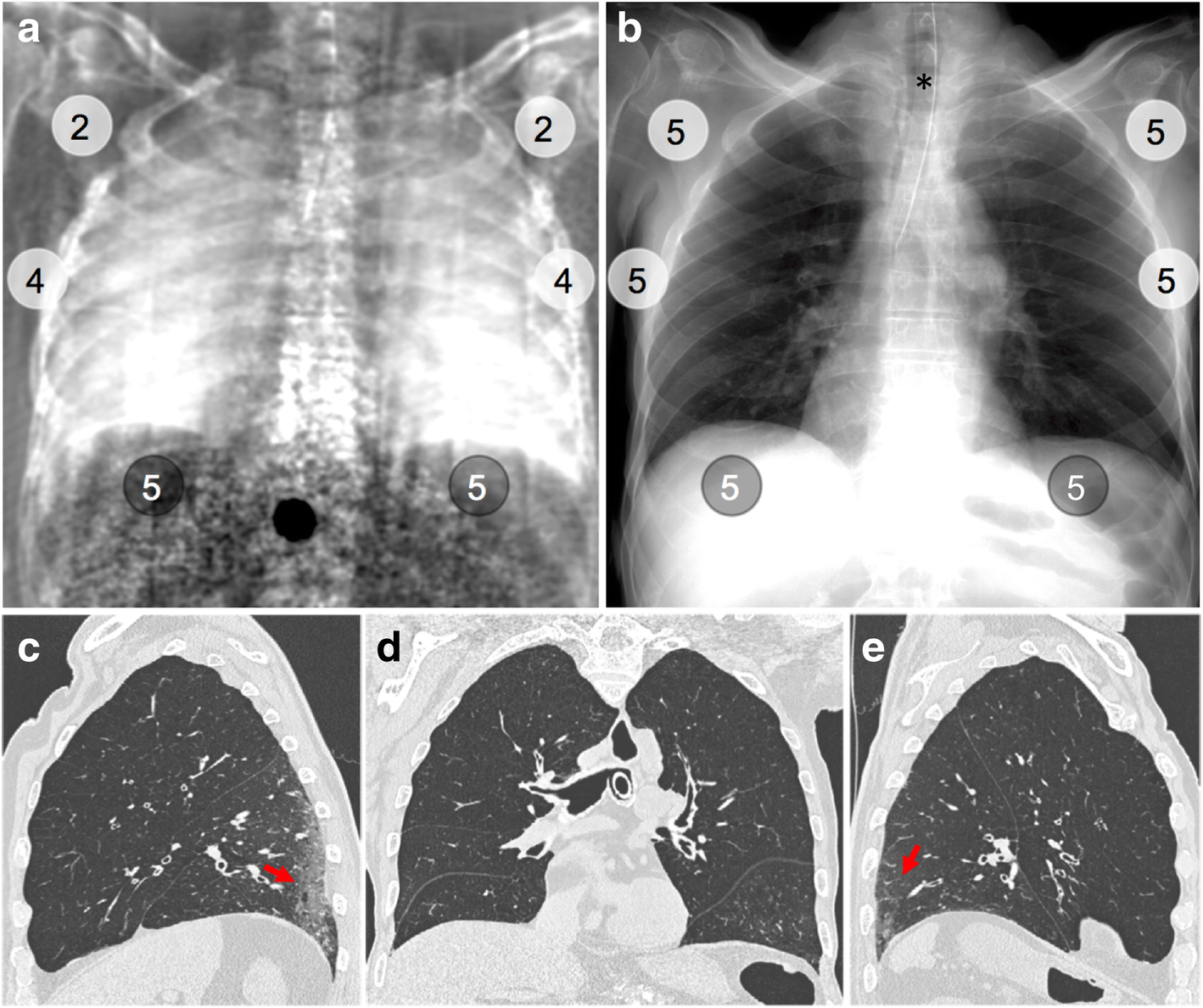 Fig. 4